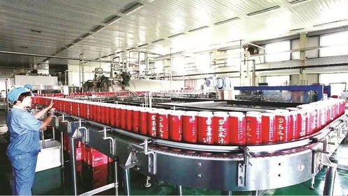 以農促工，以工帶農 解析我省農產品加工業發展勢頭與廣東軟件開發的協同效應