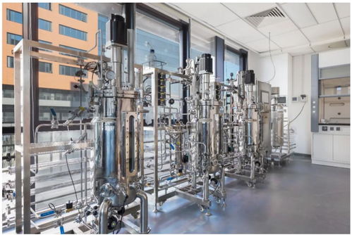 30萬億美元潛在市場 廣東軟件開發能否成為中國經濟增長新引擎？